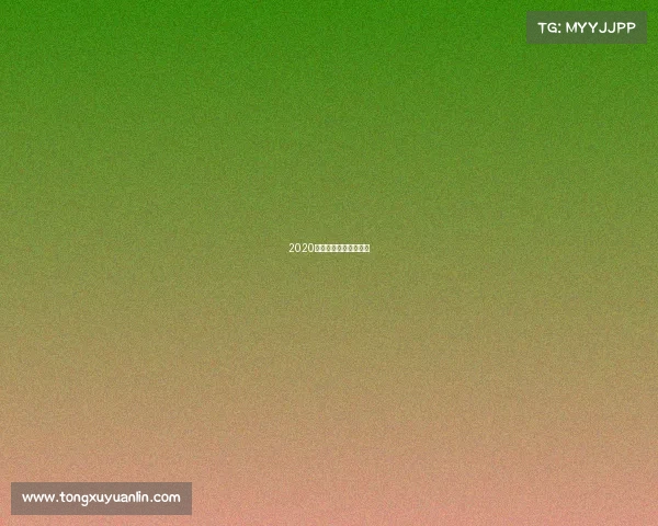 2020年上海国际赛车场赛事