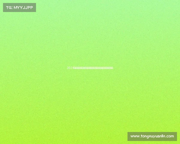 2024全球自由搏击巅峰对决顶尖高手云集激情碰撞争夺王者荣耀