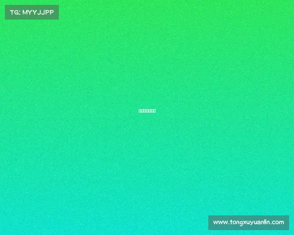 中国飞镖公开赛