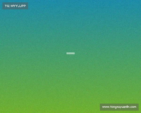 全运会拳击赛程