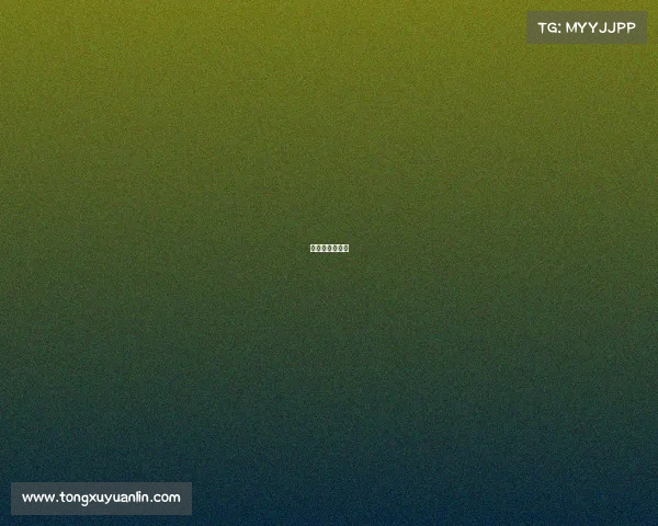 天津武术锦标赛