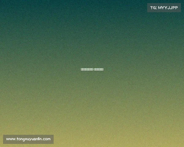 女排经典赛事视频-女排比赛合集