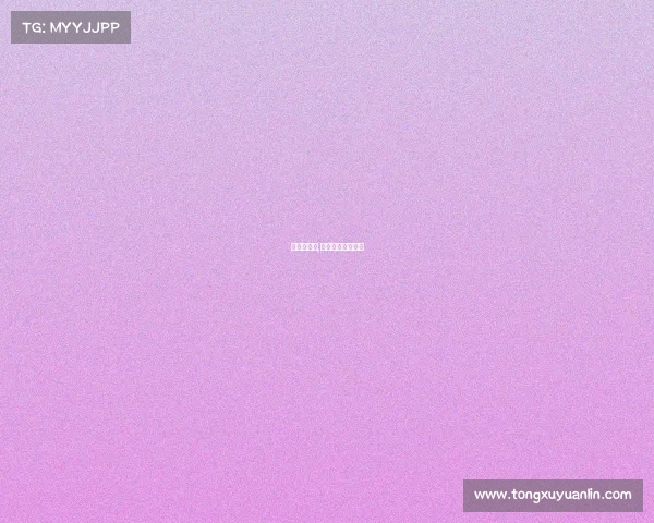 宾菲加赛事,宾菲加足球俱乐部 宾菲加赛事,宾菲加足球俱乐部