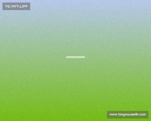 电子竞技大会、电子竞技大型赛事